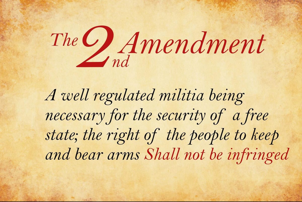 Constantino's Agenda To Make The Second Amendment Great Again